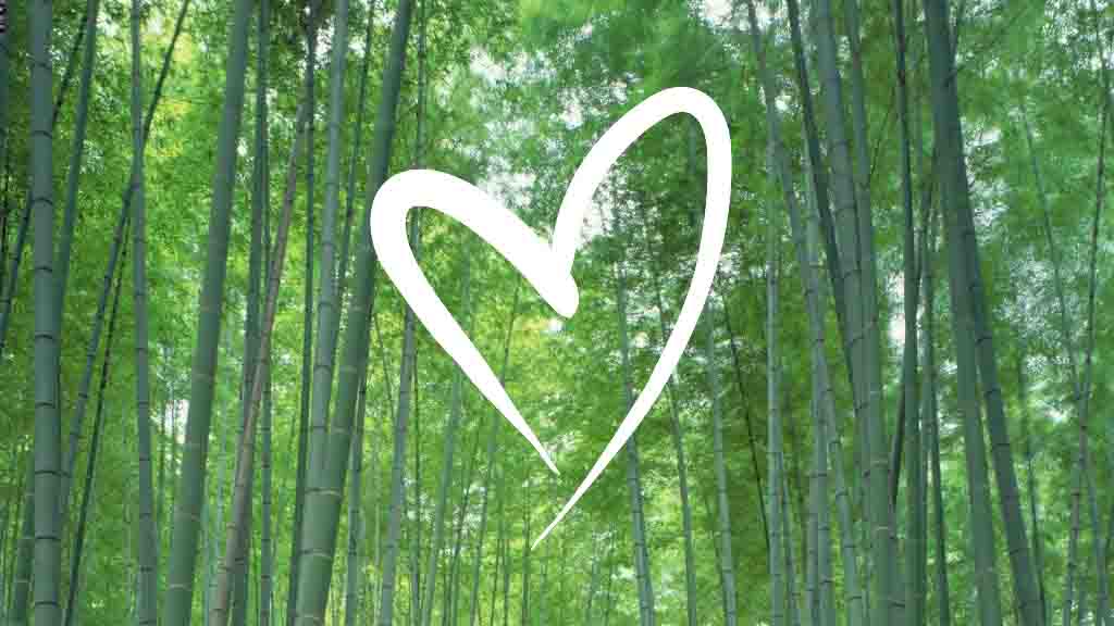 Lotties eco loves bamboo jersey we make clothing in the uk
