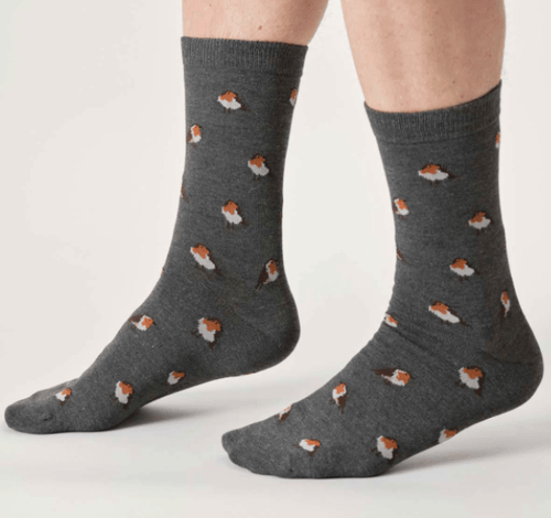 Thought Socks Men's Thought Robin Bamboo Socks UK 7-11