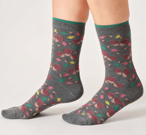 Thought Socks Women's Thought Cotton Hedgehog Box Socks UK 4-7