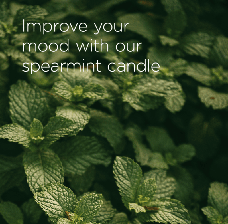 Your Nature Deodorant Spearmint scented soy wax Candle